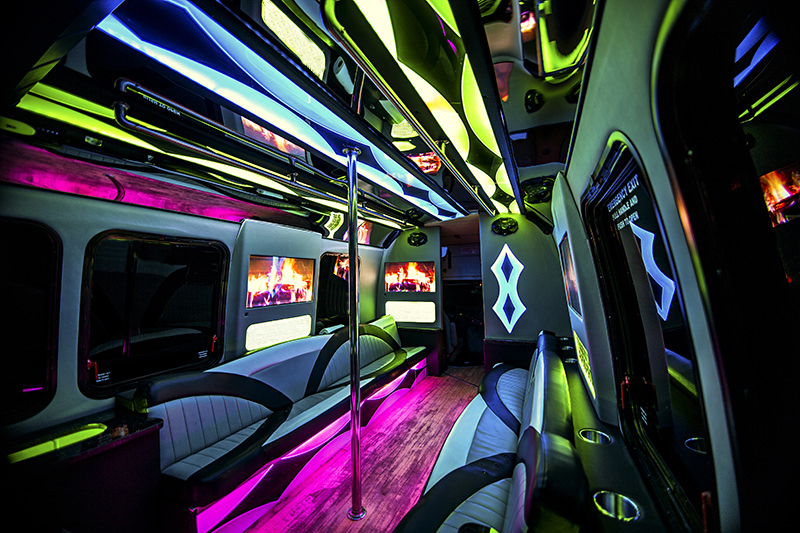 18-passenger party bus
